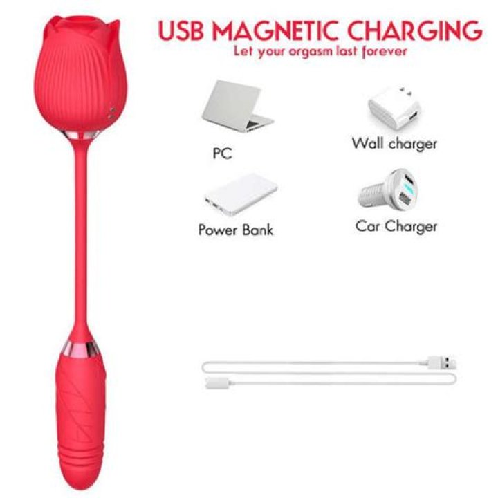 Charge Your Rose Toy Without A Charger