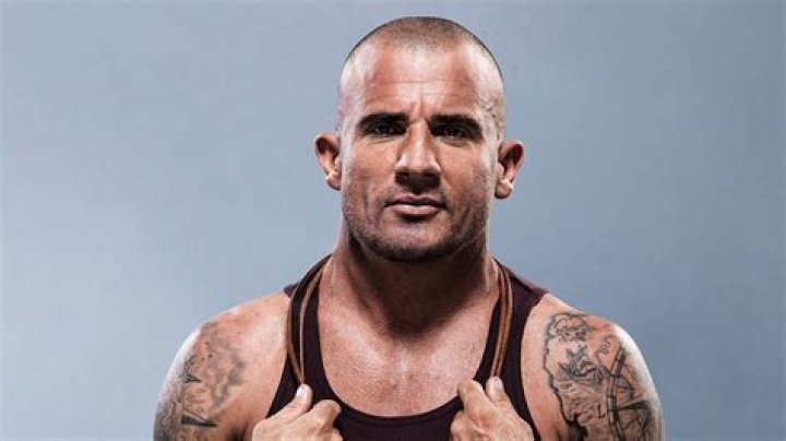 Discover The Surprising Impact Of Dominic Purcell's Height