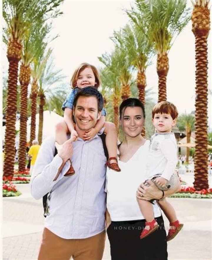 Does Cote De Pablo Have a Child in Real Life?