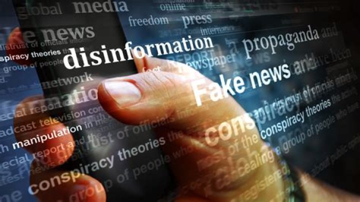 Empowering Communities Against Misinformation: The Rise of Desifakes