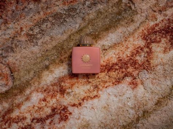 Exploring the Marriage of James Stewart: A Deep Dive into His Life and Love