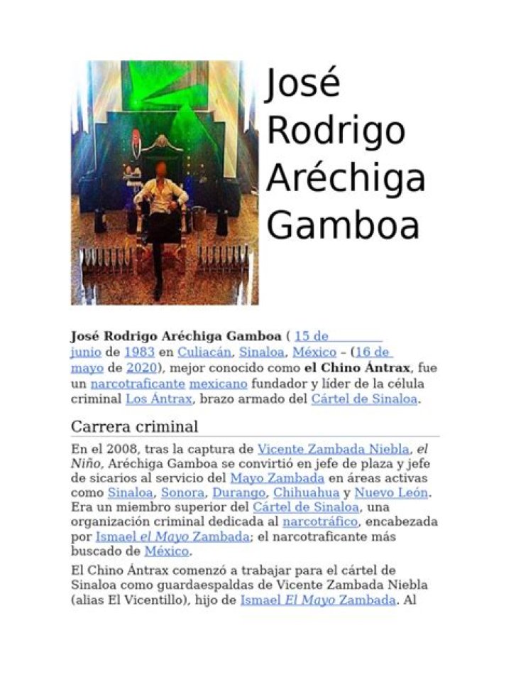 Exploring the Rise of Rodrigo Arechiga Gamboa: The Future of Football