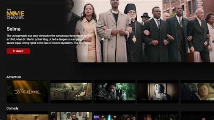 Exploring Vegamovies20: The Ultimate Hub for Movie Enthusiasts