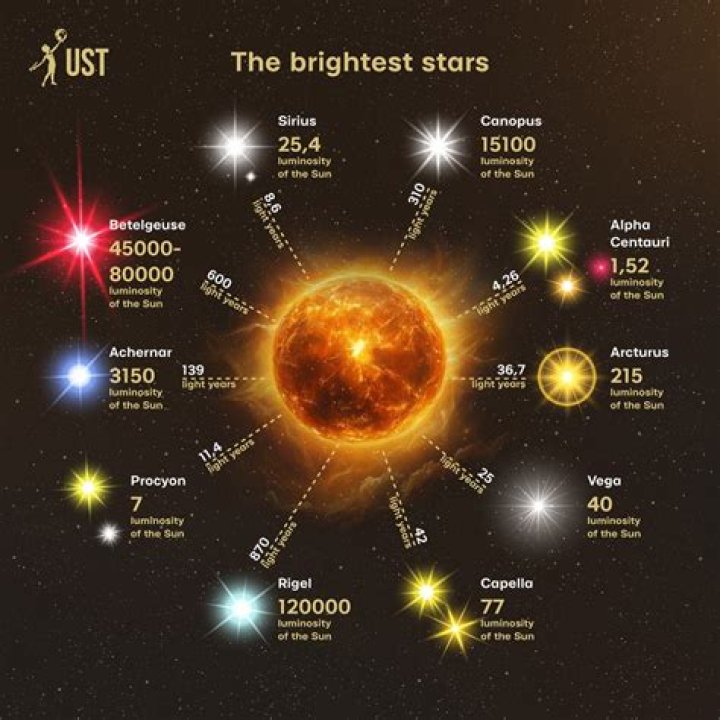 Famous Celebrities from Florida: Discovering the Sunshine State's Brightest Stars