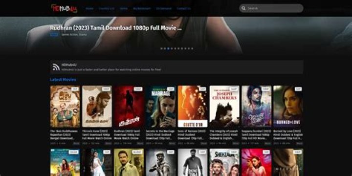 HDForHub: Your Ultimate Destination for High-Quality Media