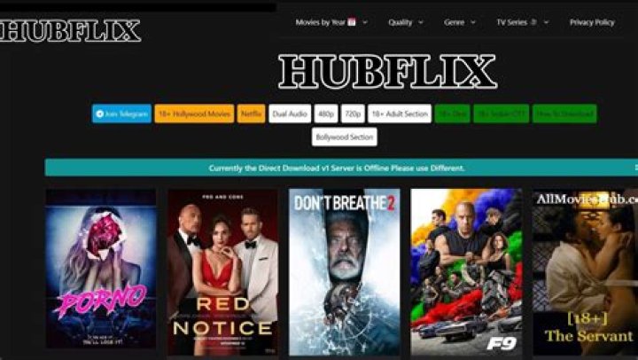 HubFlix: The Premier Destination for Digital Entertainment