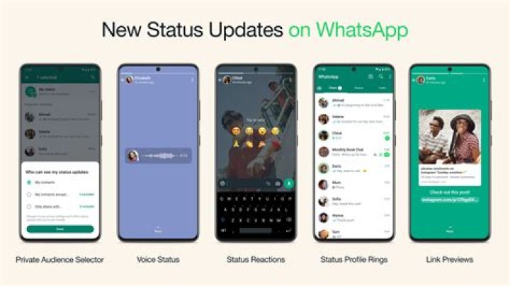 Interesting FB Status: Captivating Updates to Enhance Your Social Presence