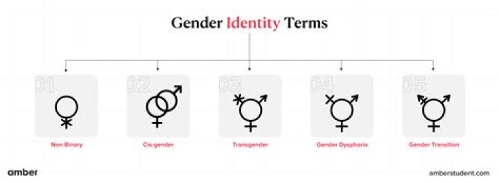 Is Brittany Griner a Man? Understanding Gender Identity and Public Perception