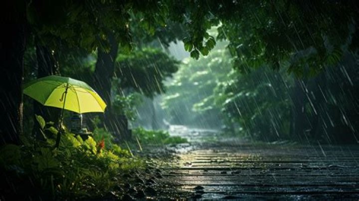 Misty Rainy: The Enchanting Beauty of Rainy Weather