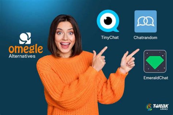 Omegle: Talk to Strangers and Explore New Connections Online