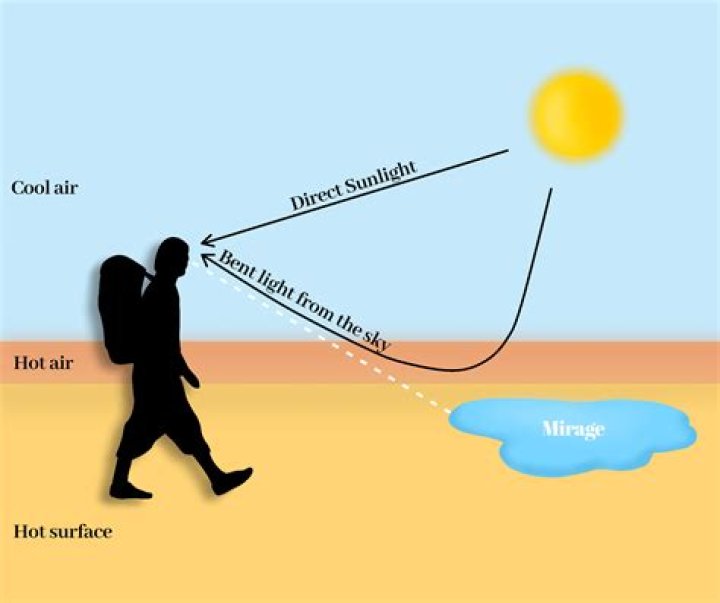 Rise Bundy: The Phenomenon Explained