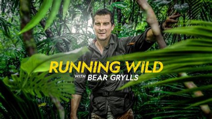 Survive Like Bear Grylls: The Man Still Thrives In The Wild