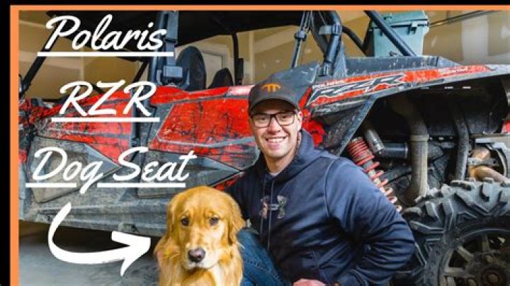 Uncover The Best Polaris RZR Dog Seat Secrets
