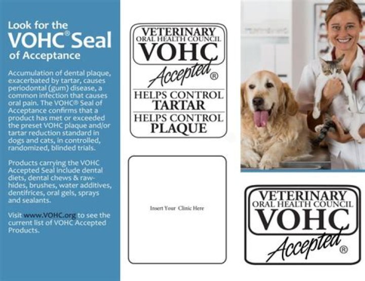 Unlock The Secrets Of Equestrian Excellence With VOHC.org
