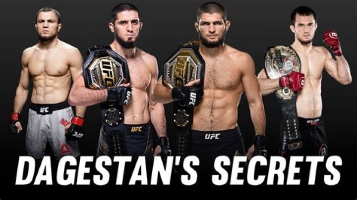 Unlocking The Secrets Of MMA Dominance