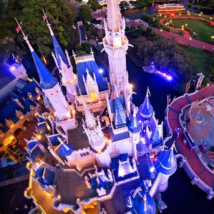 Wdwmagic Forum List of Wdwmagic Discussions and Forums