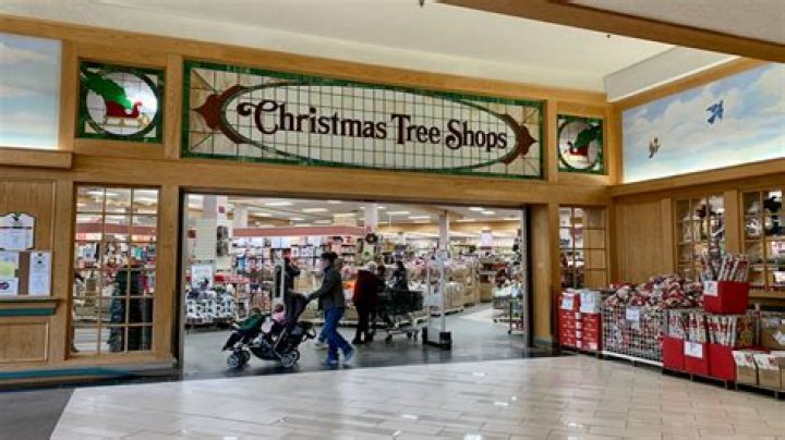 Who Owns Christmas Tree Shops? Christmas Tree Shops Company History