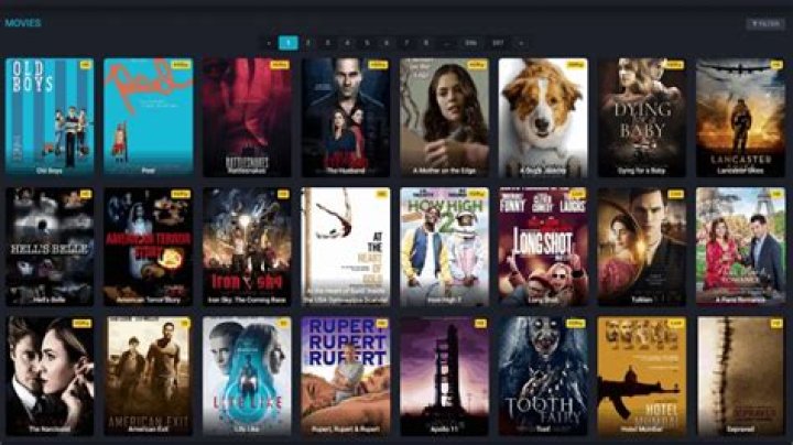 Zoechip Movies: A Comprehensive Guide to the Latest Releases and Trends